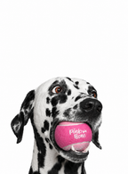 Pink Bone Logo Tennis Ball – Pink