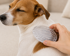 Short Coat Dog Grooming Kit