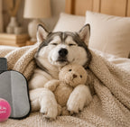 Double Coat Dog Grooming Kit